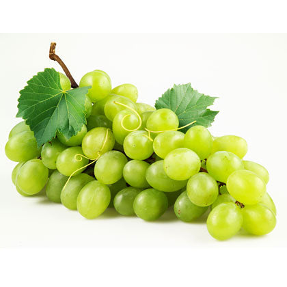 White Grape Low-Calorie Sugar-Free Syrup